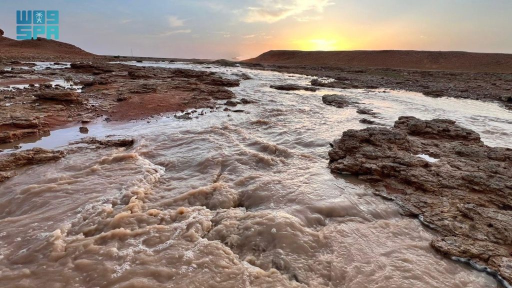 الأمطار تُنعش شعاب جنوب رفحاء وتُحفّز ازدهار الغطاء النباتي